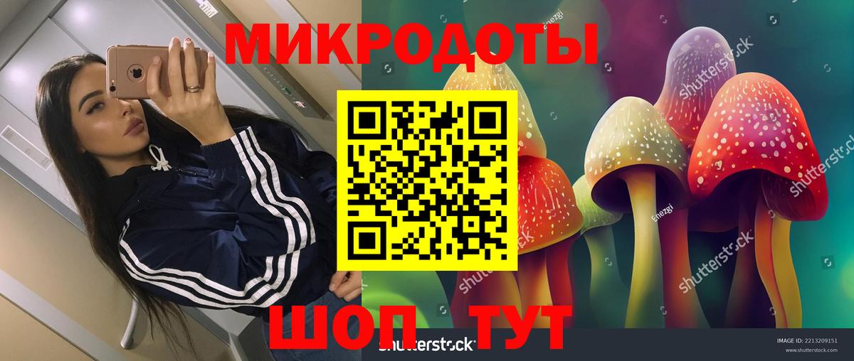Псилоцибиновые грибы мухоморы Павлово