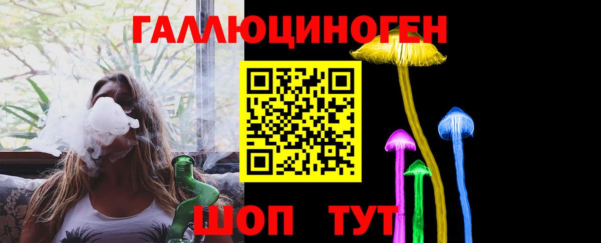Павлово  Галлюциногенные грибы прущие грибы  Вход с VPN 